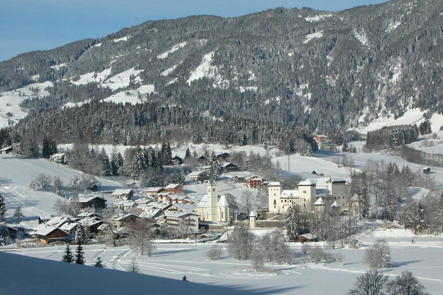 Apartment Bio-bauernhof Reitmayrgut Goldegg