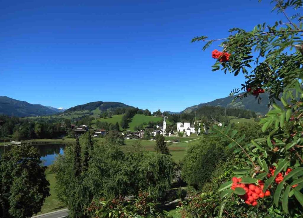 Bio-bauernhof Reitmayrgut Goldegg